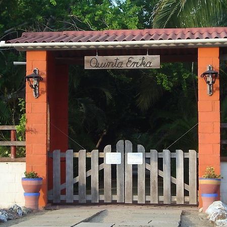 Quinta Erika Boutique Hotel By Rotamundos Coyuca de Benitez Eksteriør bilde