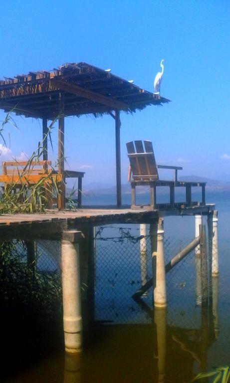 Quinta Erika Boutique Hotel By Rotamundos Coyuca de Benitez Eksteriør bilde