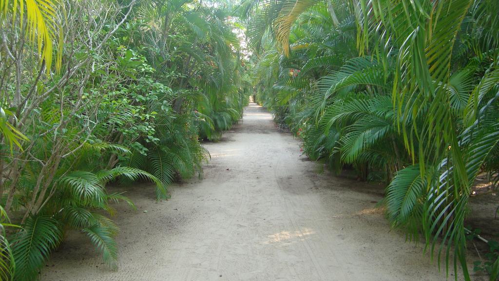Quinta Erika Boutique Hotel By Rotamundos Coyuca de Benitez Eksteriør bilde